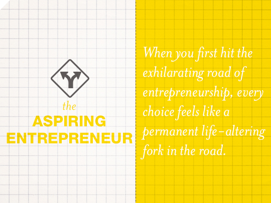 The Aspiring Entrepreneur